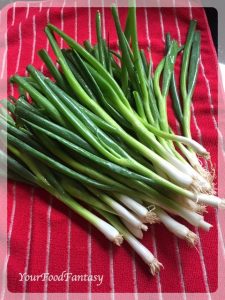 Spring Onions for Spring Onion Curry | YourFoodFantasy.com