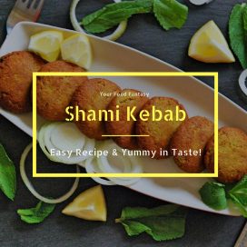 Easy Shami Kebab Recipe | YourFoodFantasy.com