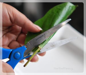 Betel making process | yourfoodfantasy