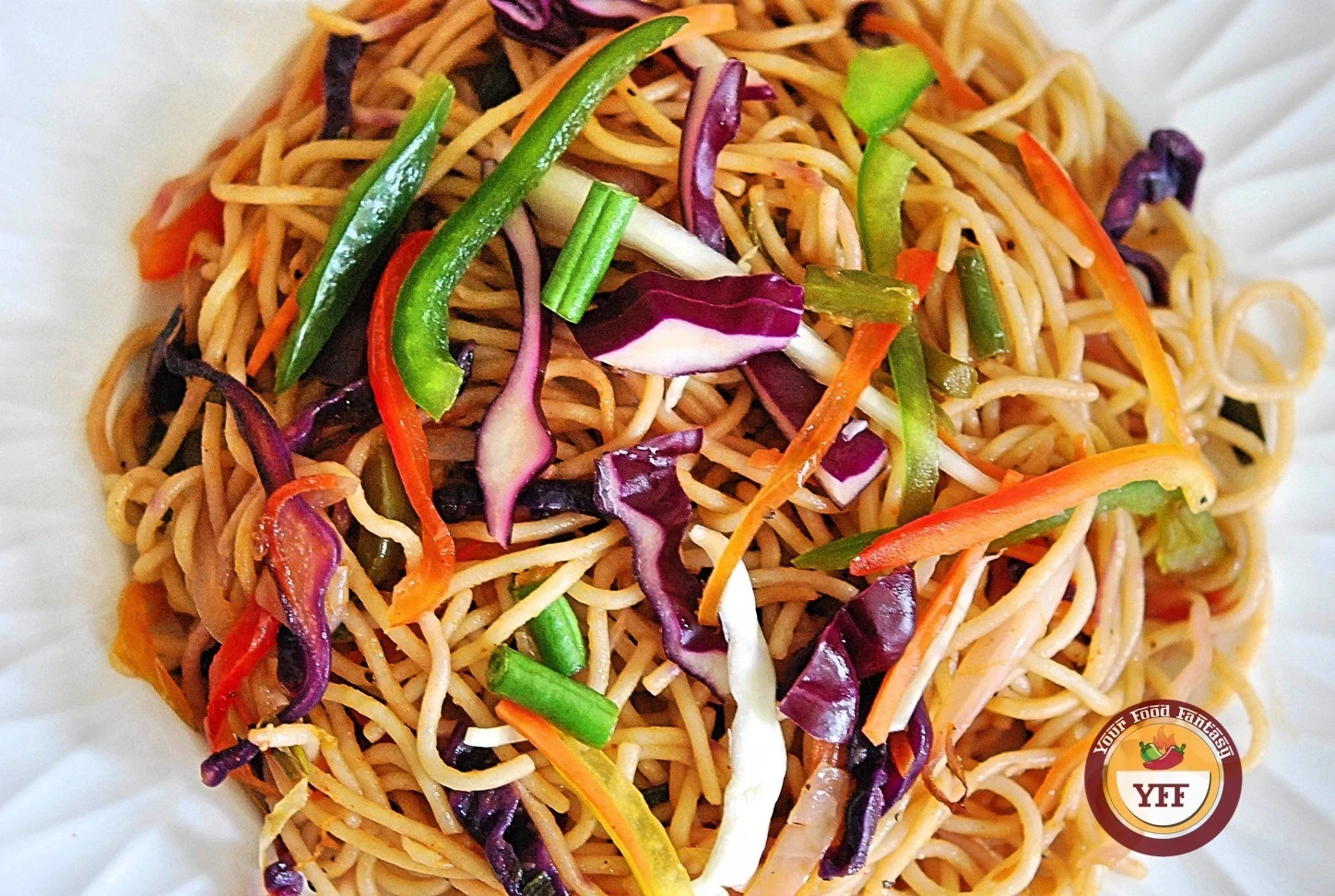Veg Hakka Noodles Recipe | YourFoodFantasy.com