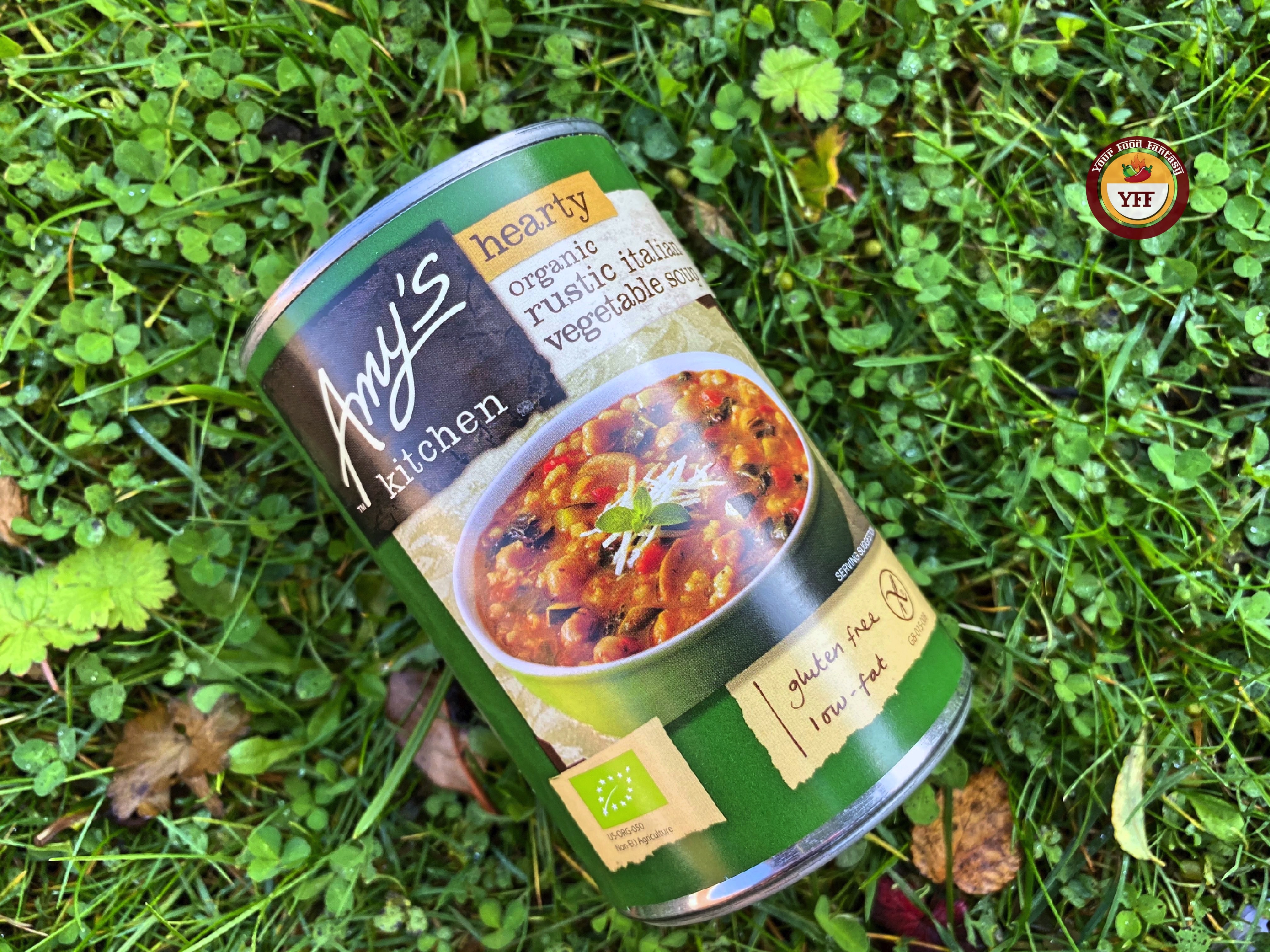 Amy's Kitchen Vegetable Soup | Review by YourFoodFantasy