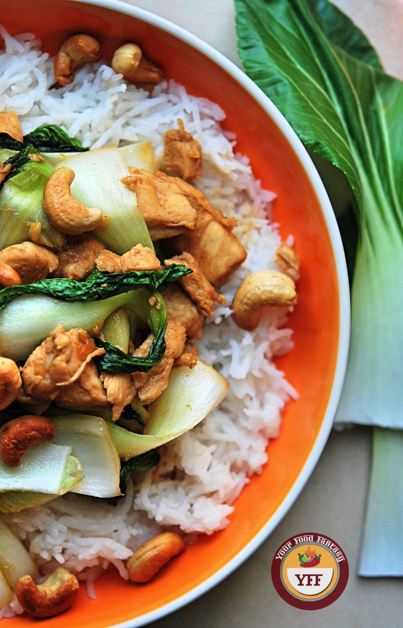 Easy Teriyaki Chicken Recipe | Your Food Fantasy