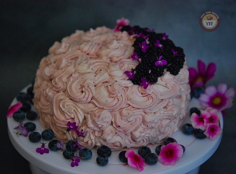 Blackberry Chocolate Cake Recipe | Your Food Fantasy